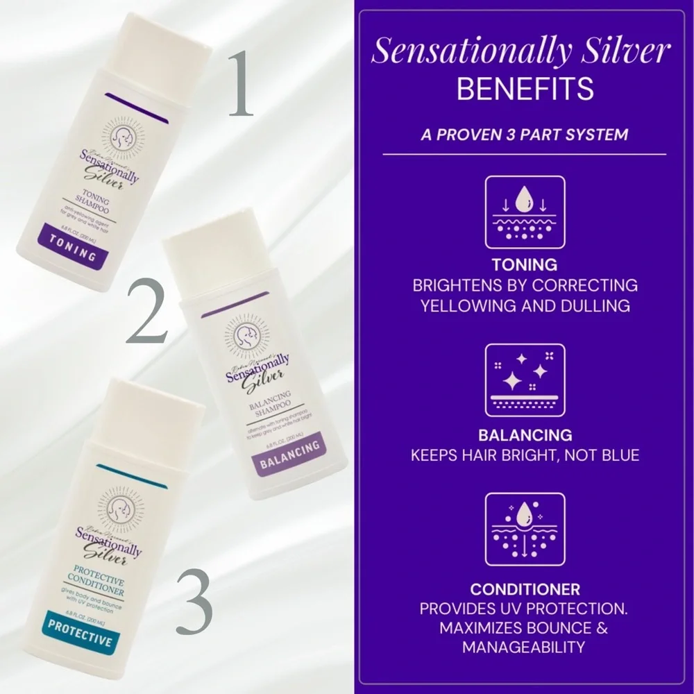 JUST IN! Sensationally Silver Hair Care Set